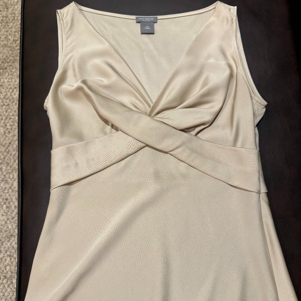 Champagne tailored Ann Taylor blouse